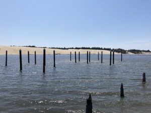 IMG_0370